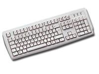 Клавиатура Chicony KB-2971 PS/2 Standart